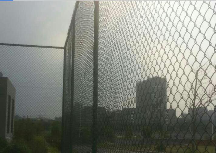 圍網